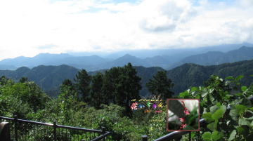 10月ミズヒキ、高尾山山頂