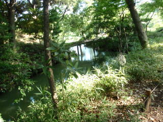 六義園　山の道から_1